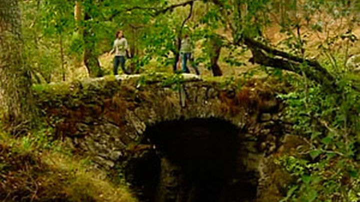 La ruta del tejo milenario en Rascafía / Telemadrid