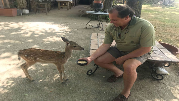 Loik alimentando a su ciervo