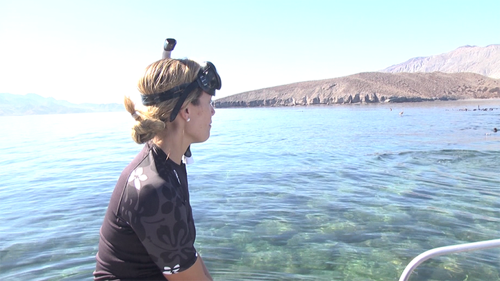 La Bahía de los Ángeles