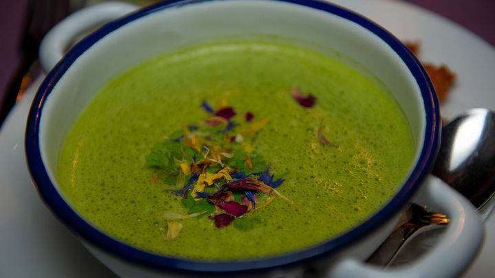 Sopa acelgas