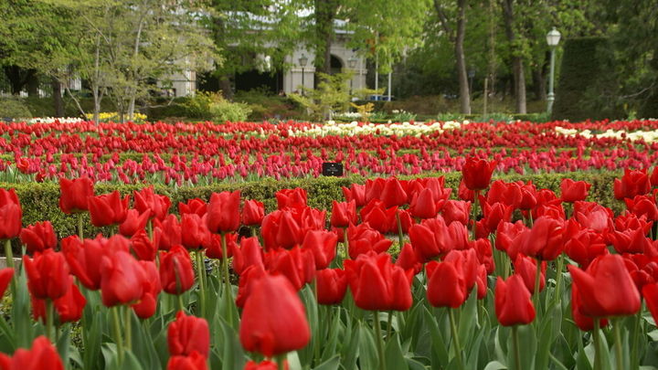 Real Jardín Botánico de Madrid