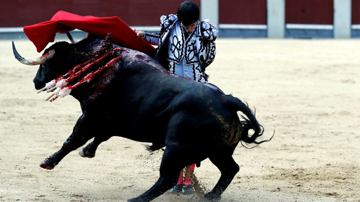 Francisco José Espada / Efe