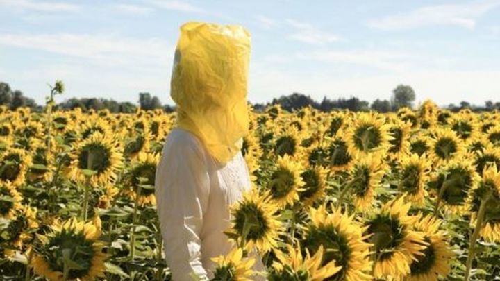 'Portrait Series' (2016).ELINA BROTHERUS