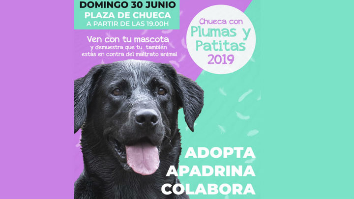 Plumas y Patitas en la plaza de Chueca / Archivo