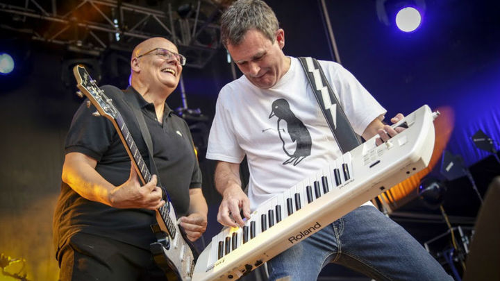 Un pingüino en mi ascensor