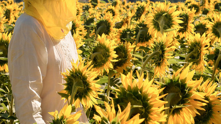 PhotoEspaña 2019 / Elina Brotherus