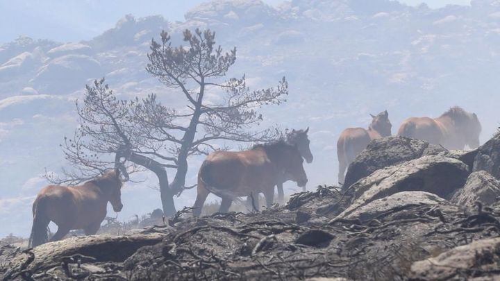 112 Comunidad de Madrid. Pedro González