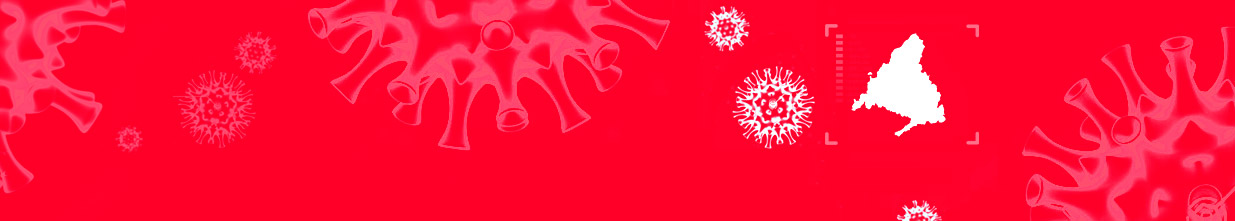 Coronavirus Covid 19 en Madrid