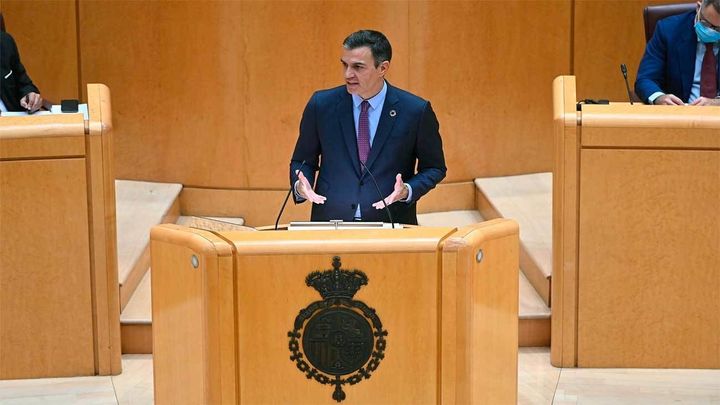 Pedro Sánchez en el Senado / EFE
