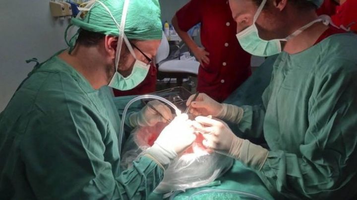 España, 28 años de liderazgo mundial en donación y trasplante de órganos / EFE