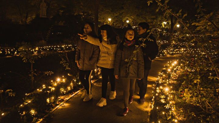 Real Jardín Botánico de Madrid en Navidad (2) / EUROPA PRESS
