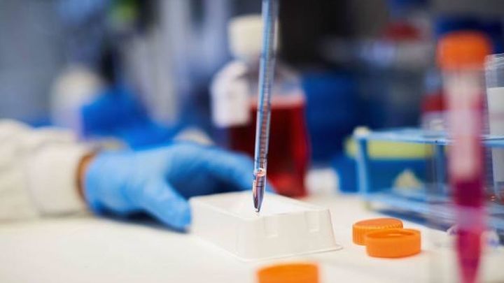 La investigación es fundamental en la lucha contra el cáncer / EFE