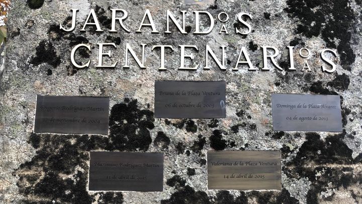 Jarandos centenarios / Redacción