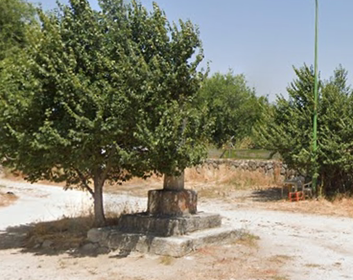 Picota cubierta por las ramas de un árbol / GSV