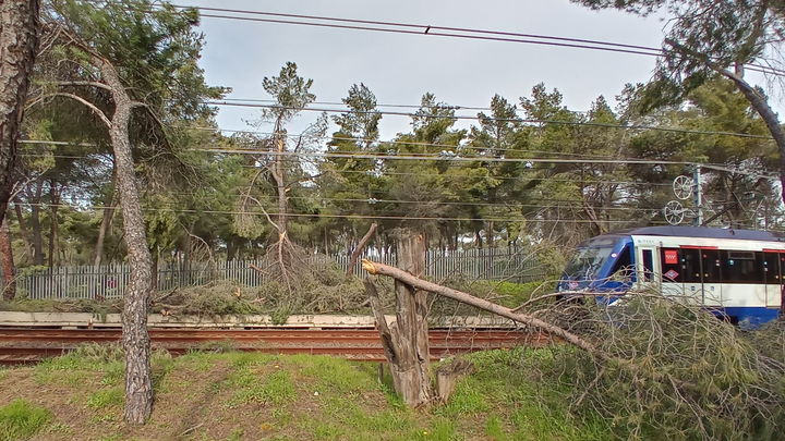 La línea 10 de metro a su paso por la Casa de Campo / Telemadrid.es