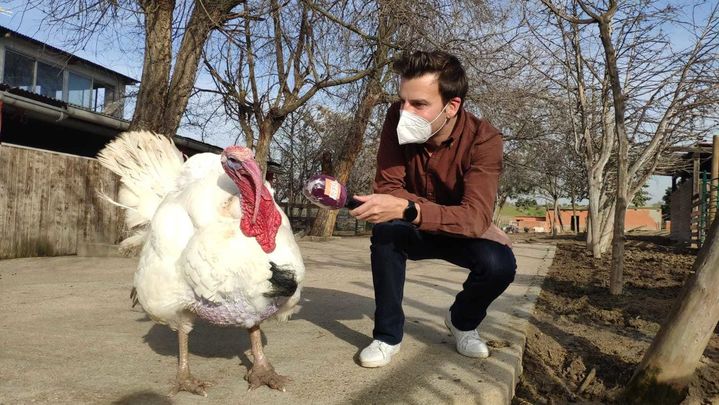 Nuestro reportero Javier Silvestre con uno de los habitantes de 'Santuario Vegan' / ARCHIVO