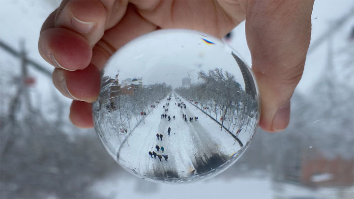La fotografía ganadora de 'Madrid, Filomena a mi pesar' / @MuseodeHistoriadeMadrid