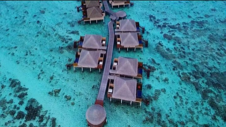 Mojito en la piscina, comidas de lujo. Eso buscaban Verónica y su chico / Telemadrid