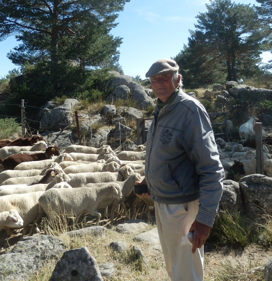 Jesús Garzón, pastor trashumante y naturalista / JUAN GARCÍA