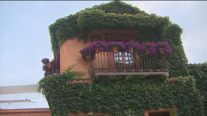 Poco a poco las fincas y salones de celebraciones aumentan sus reservas / Telemadrid