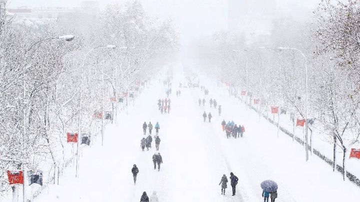 El Paseo de la Castellana cubierto de nieve tras el paso de la borrasca 'Filomena' / EFE