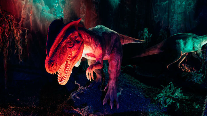 'Dino world' / Dino world