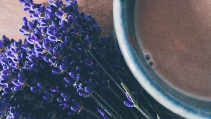 Lavanda, una de las plantas aromáticas más conocidas / ARCHIVO