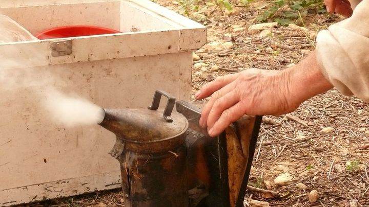 Ahumador / DOMINIO PÚBLICO