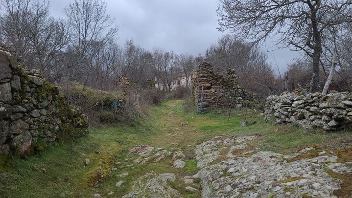 Bellidas / JESÚS RAMÓN LÓPEZ