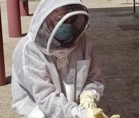 Bombero de Alcorcón preparándose para retirar un avispero / BOMBEROS DE ALCORCÓN