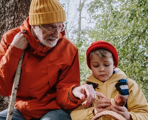 Guía y lugares para ir a recoger setas en la Comunidad de Madrid / Agencias