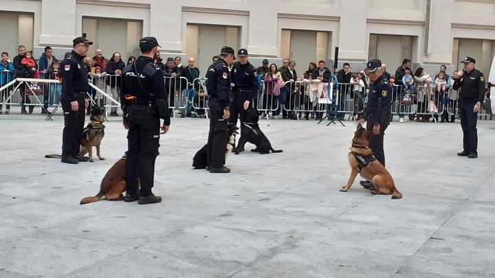 Unidad Canina de la Policía Nacional / @MADRID