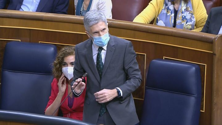 El ministro del Interior, Fernando Grande-Marlaska / TELEMADRID