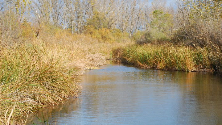 Paraje del Parque de Las Islillas en Mejorada del Campo / AYTO MEJORADA