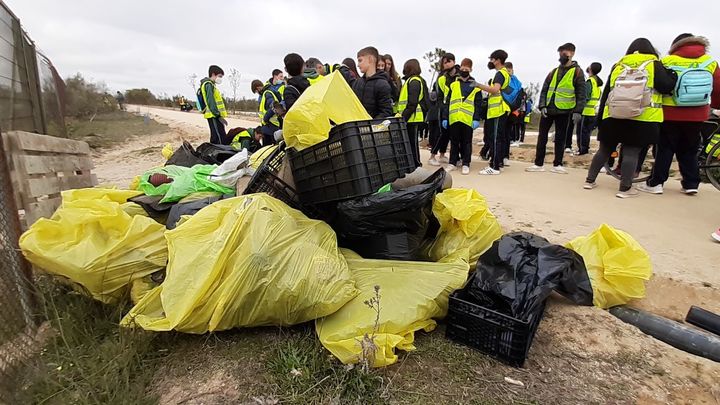 Bolsas, cajas de plástico y otras basuras recogidas por los alumnos del Carmelo Teresiano / P.O.