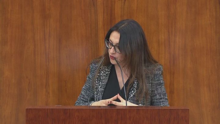 Sol Sánchez (Unidas Podemos) / TELEMADRID