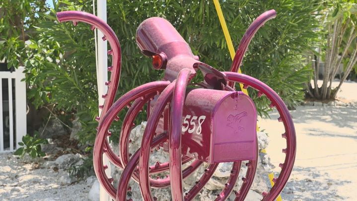 Buzón con forma de pulpo / Redacción