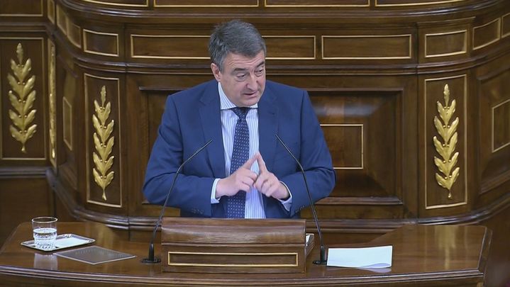 Aitor Esteban Bravo, portavoz del grupo parlamentario vasco / TELEMADRID