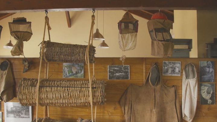 Las abejas y la apicultura, protagonistas de este museo pionero de Hoyo de Manzanares