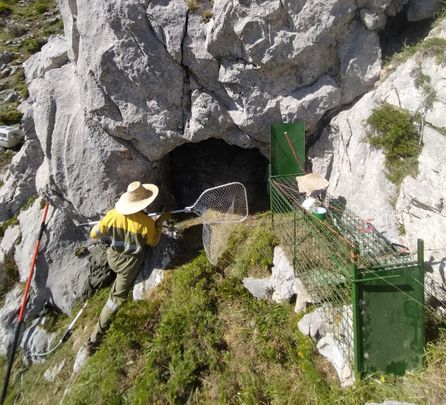 Despliegue para la búsqueda y rescate del osezno en el macizo palentino / JUNTA DE CASTILLA Y LEÓN