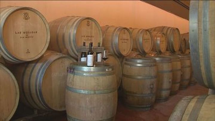 Interior de una bodega de la subzona de San Martín de Valdeiglesias / TELEMADRID