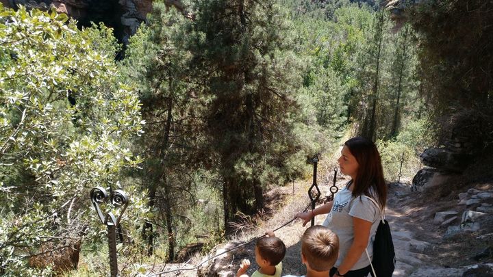 Paseando por el bosque / ADELA Y RAFA