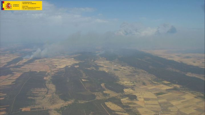 Incendio de Losacio (Zamora) / @naturalezacyl