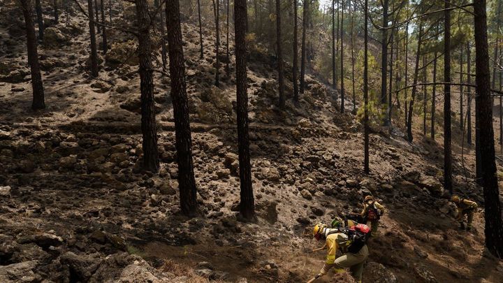 Personal del operativo Brifor realizan labores de perimetrado de puntos calientes en la zona de El Lagar,  Tenerife / EFE