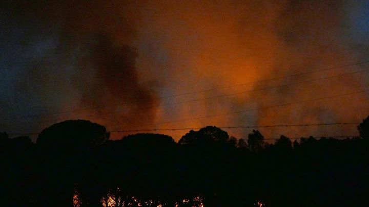 El incendio forestal declarado en el paraje "El Corchito" de Bonares, en Huelva / EFE