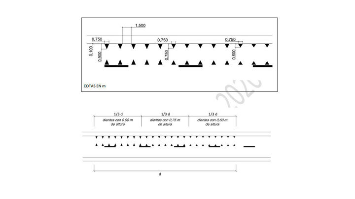 Dientes de dragón pintados en el suelo / REDACCIÓN