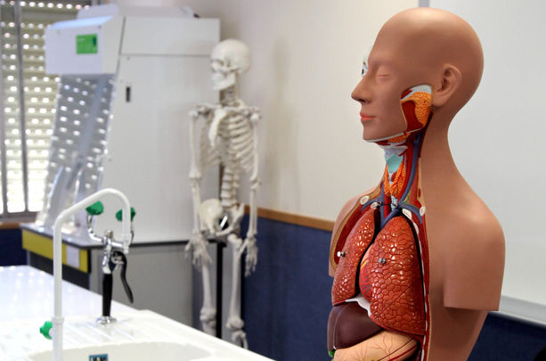 Uno de los laboratorios del Instituto / Telemadrid