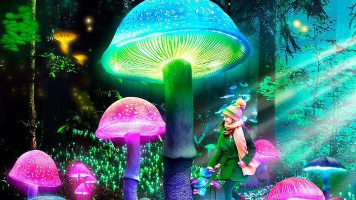 Naturaleza encendida. 'Origen' / RJB