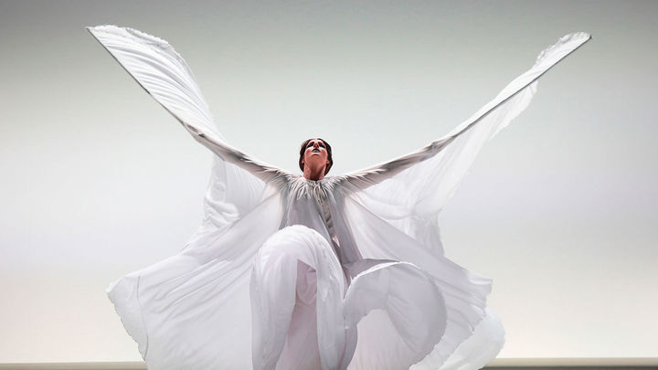 Homenaje a Federico García Lorca del Ballet Flamenco de Andalucía / Pepe Torres