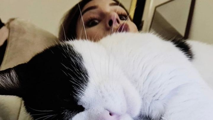 Tapón, gato de Blanca Suárez / Instagram